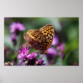 Spotted Wings ポスター