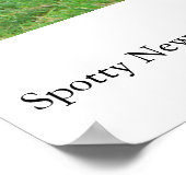 Spotty NZ Lambs ポスター (角)