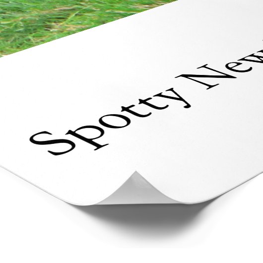 Spotty NZ Lambs ポスター (角)