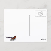 Sprague Lake II at Rocky Mountain National Park ポストカード (裏面)