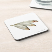 Sprats コースター (左側)