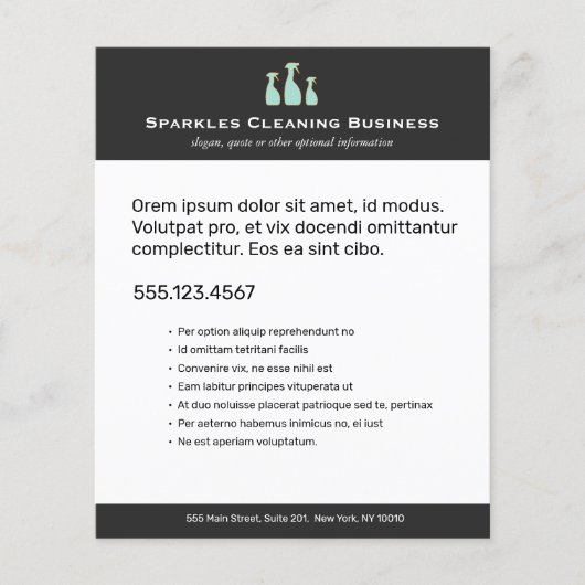 Spray Bottle Home Cleaning Service Flyer チラシ (正面)