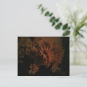 Spray chrysanthemums under dim lighting ポストカード (スタンド正面)