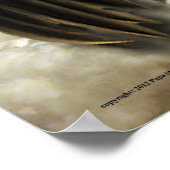 Spread your Wings ポスター (角)