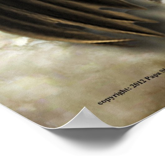 Spread your Wings ポスター (角)