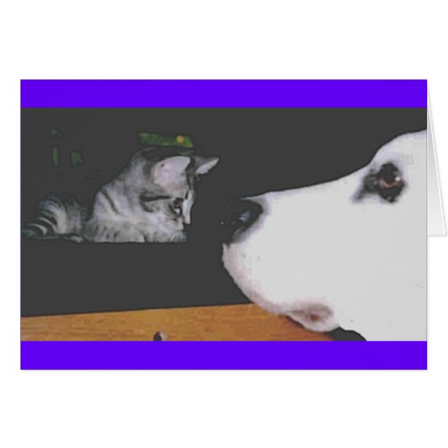 Spree&Kichou (正面横)