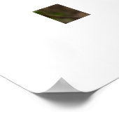 Spring  ポスター (角)