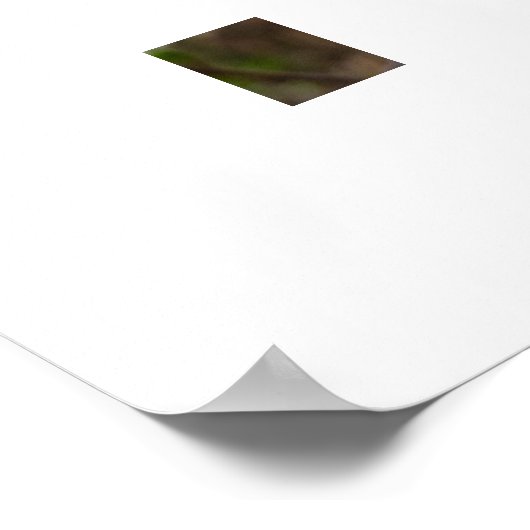 Spring  ポスター (角)