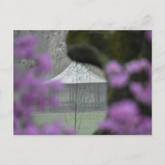 Spring  ポストカード