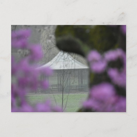 Spring  ポストカード (正面)