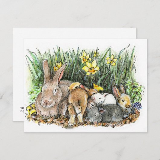 SPRING ポストカード (正面/裏面)