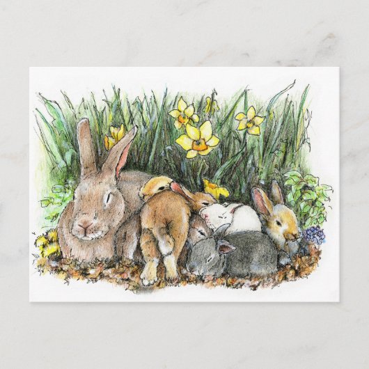 SPRING ポストカード (正面)