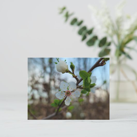 Spring  ポストカード (スタンド正面)