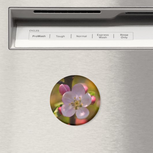 Spring Apple Blossom マグネット (インサイチュ (食洗機))