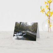 Spring at the Little Pigeon River カード (黄色い花)