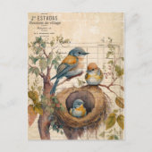 Spring Birds Vintage Ephemera ポストカード (正面)