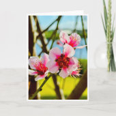 Spring Blossoms Blank Card 招待状 (正面)