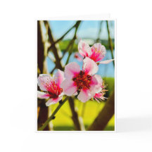Spring Blossoms Blank Card