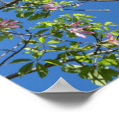 Spring, branch of a blossoming tree ポスター (角)