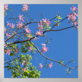 Spring, branch of a blossoming tree ポスター (正面)