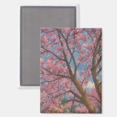 Spring Canopy – 桜の木と青空の絵画 マグネット (正面/裏面)