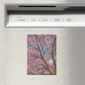Spring Canopy – 桜の木と青空の絵画 マグネット (インサイチュ (食洗機))