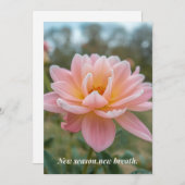 Spring Card シーズンカード (正面/裏面)