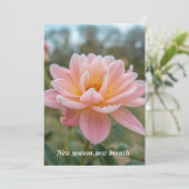 Spring Card シーズンカード (スタンド正面)