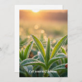 Spring Card シーズンカード (正面/裏面)