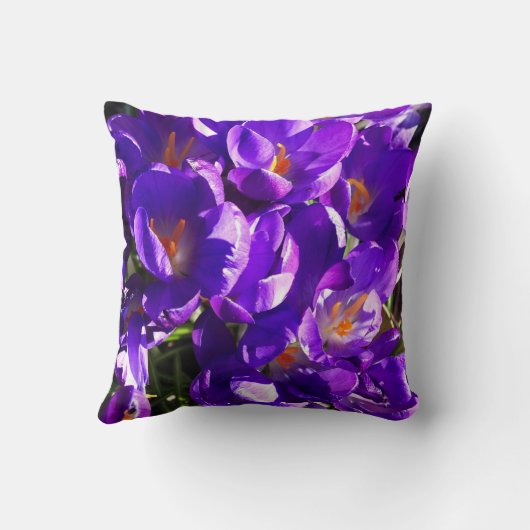 SPRING CROCUS クッション (裏面)