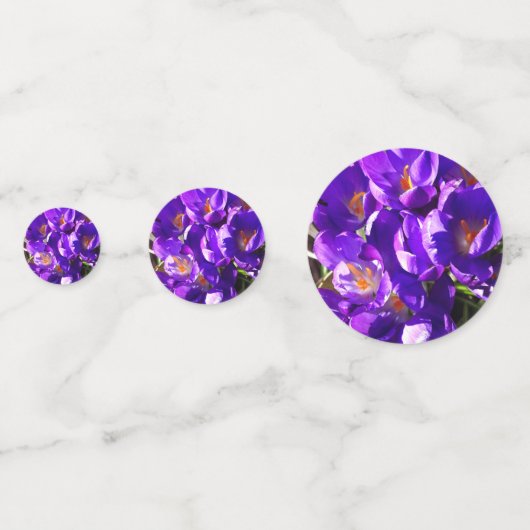 SPRING CROCUS コンフェッティ (裏面)