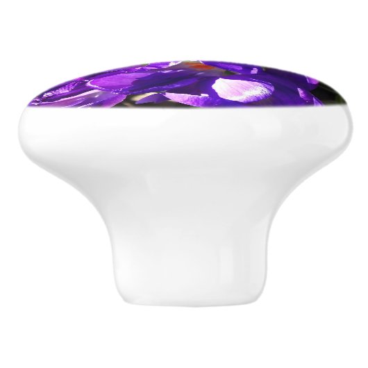 SPRING CROCUS セラミックノブ (側面)