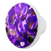 SPRING CROCUS セラミックノブ (右)