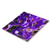 SPRING CROCUS タイル (側面)