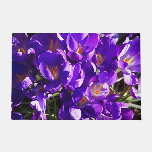 SPRING CROCUS ドアマット (正面)