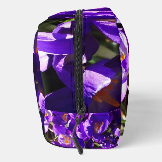 SPRING CROCUS ドップキット (右)