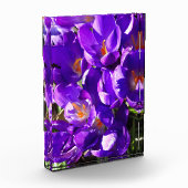 SPRING CROCUS フォトブロック (左)