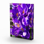 SPRING CROCUS フォトブロック (右)