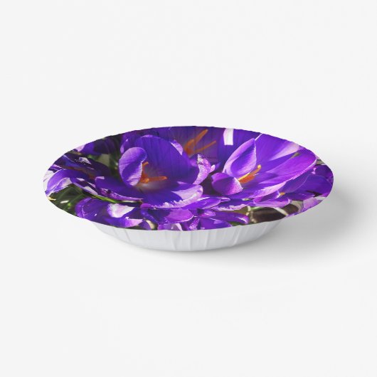 SPRING CROCUS ペーパーボウル (傾斜あり)