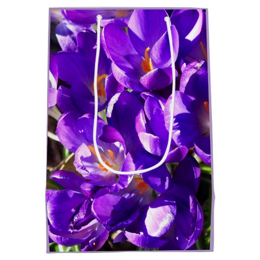 SPRING CROCUS ミディアムペーパーバッグ (裏面)