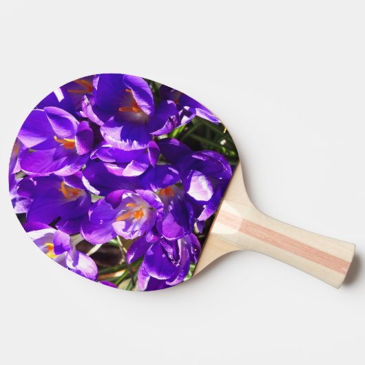 SPRING CROCUS 卓球ラケット (横)