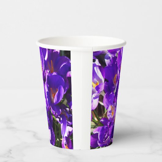 SPRING CROCUS 紙コップ (右)