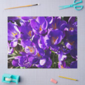 SPRING CROCUS 薄葉紙 (クラフト)
