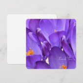 Spring Crocus Flower Photography サンキューカード (正面/裏面)