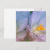 Spring Crocus Photography サンキューカード (正面/裏面)