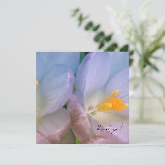 Spring Crocus Photography サンキューカード (スタンド正面)
