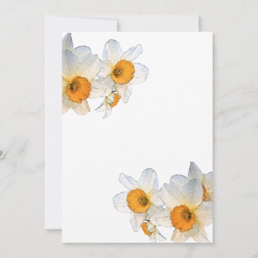 Spring Daffodil Birthday 招待状 (裏面)