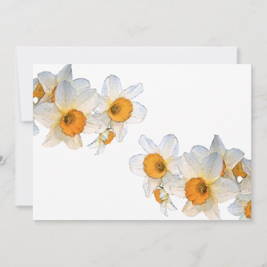 Spring Daffodil Birthday 招待状 (裏面)