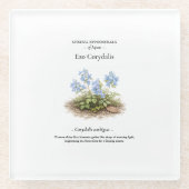 Spring Ephemerals of Japan – Ezo Corydalis ガラスコースター (正面)