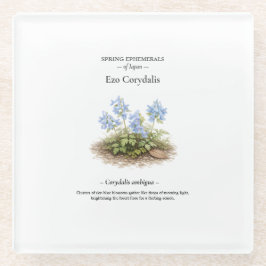 Spring Ephemerals of Japan – Ezo Corydalis ガラスコースター